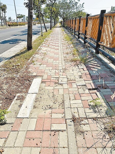 台南市議員李中岑實地勘查安南區路段,發現多處人行道連鎖磚破損,儼然是「隱形殺手」。圖/李中岑提供