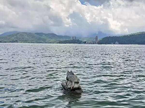 日月潭已接近滿水位,九蛙最高水位748.48公尺,再下大雨可能讓九蛙「滅頂」。圖/日管處提供