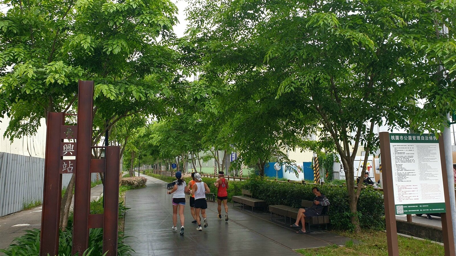 桃園市桃林鐵路停駛後,綠美化工作由桃園區往西已經做到蘆竹區的海山路,也提高周邊房產價值。記者鄭國樑/攝影