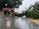 不敵強風暴雨…萬丹百年老榕樹倒塌