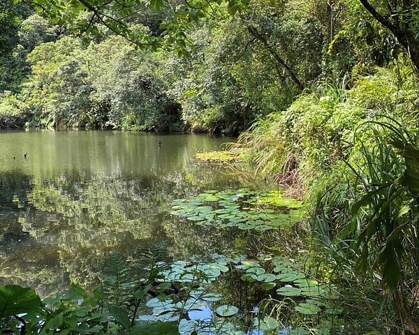 佔地約9.9公頃的白匏湖生態園區，位於汐止國道3號南側，鄰近汐止與南港都會核心區，未來將在園區內以低碳工法打造長約1.5公里自然生態步道，沿途設置生態觀察設施、多處水岸觀景平台及地景式自然探索設施等。圖／新北市工務局提供

