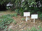 彰化清理二戰後29筆土地　最低僅105元