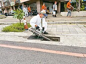 今年首例！台南爆本土登革熱　患者曾遊宜花高