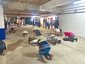 預算不足　防空避難指示用A4紙護貝