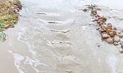 鳳山溪遭汙染　關西、新埔估中午恢復供水