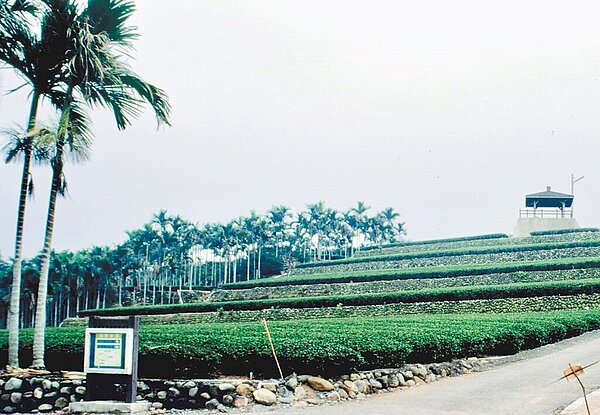 松柏嶺茶區位在南投縣名間鄉八卦山台地,農民長期仰賴購水灌溉,農田水利署將探勘鑿井解燃眉之急。(南投縣政府提供/楊靜茹南投傳真)