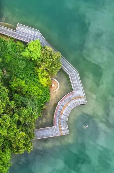 日月潭滿水位，民眾空拍九蛙，搭配周邊弧形觀景平台及地景，猶如有顆巨大魚頭張嘴要吞了九蛙，相當有趣。圖／張姓民眾提供