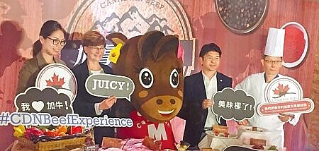 行政院拍板開放加拿大全齡牛進口,在野黨立委批評,下次又要逼百姓吞什麼進去肚裡?圖為2016年加拿大牛肉協會來台行銷。(本報資料照片)