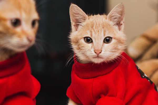 夏至禁忌之一,不宜穿搭太紅的衣物。示意圖/圖片來源:Canva