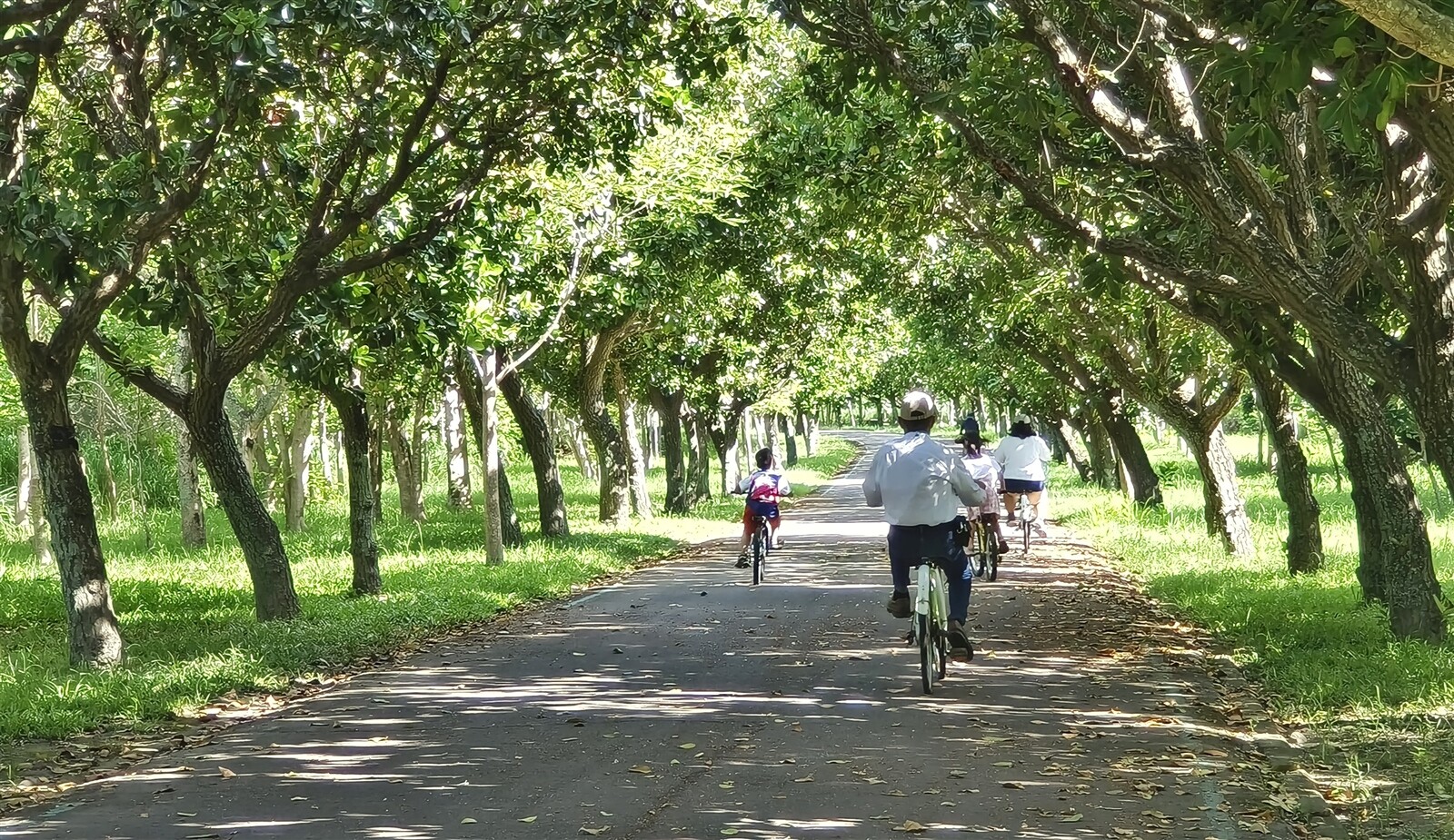 台東森林公園擁有原始生態環境，遊客騎自行車、穿越綠林步道，炎夏盛暑亦能享受綠蔭涼風、非常舒適。記者卜敏正／攝影 