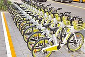 雲林共享單車來了　MOOVO布點「這2地」