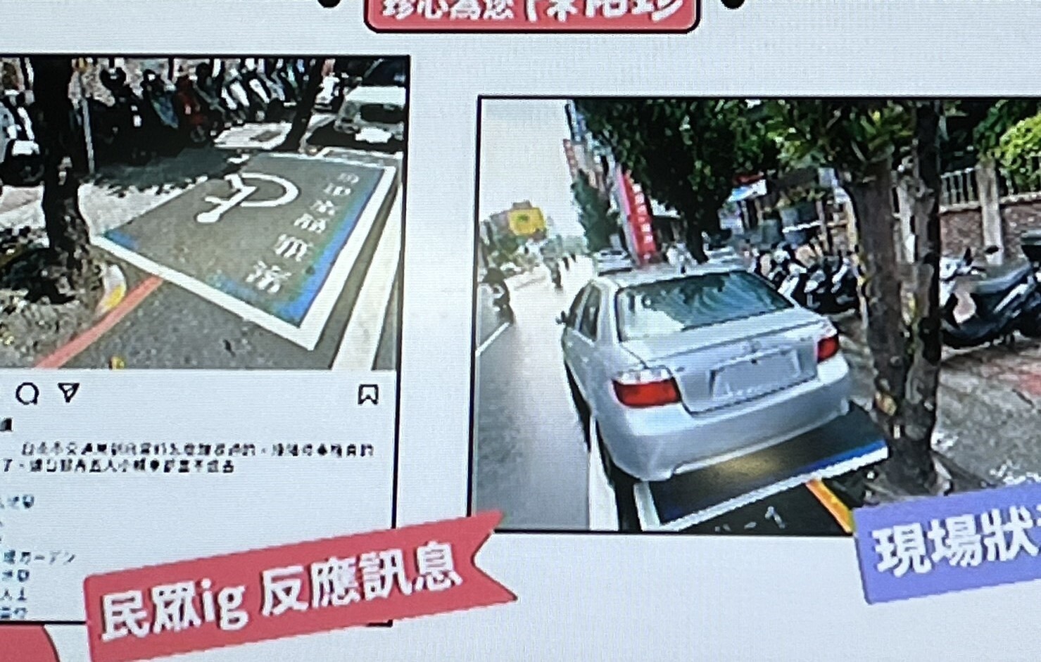 台南市議員陳怡珍在議會質詢市區有停車格位在兩棵樹中間，根本很難停車，成了「小型車限定」停車格。記者吳淑玲／攝影 