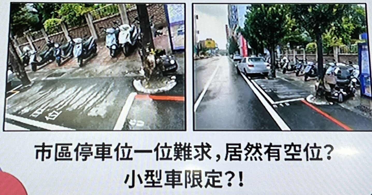 台南市議員陳怡珍在議會質詢市區有停車格位在兩棵樹中間，根本很難停車，成了「小型車限定」停車格。記者吳淑玲／攝影 