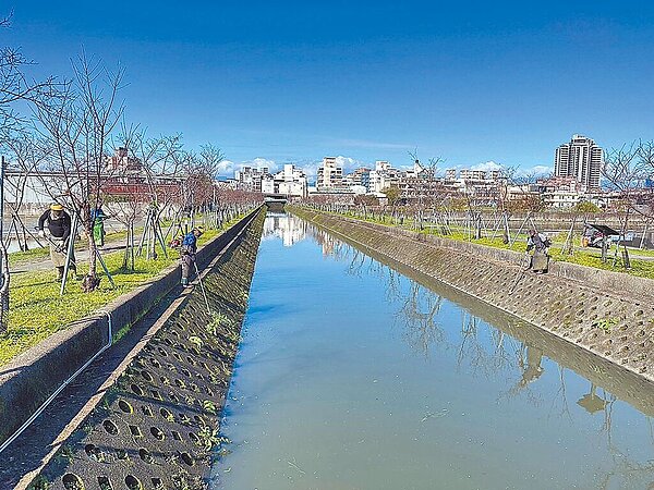 宜蘭縣羅東鎮公所27日在擴大縣務會議時,呼籲縣府加強區域排水系統除草與清淤。圖為宜蘭縣水資處派員除草情形。圖/宜蘭縣政府提供