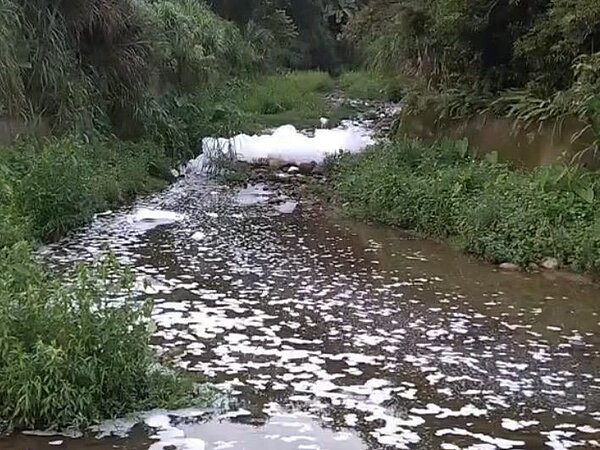 關西鎮牛欄河上游出現大量白色泡沫，居民質疑汙染嚴重。圖／讀者提供