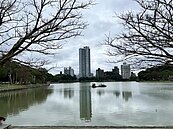 趕許可制前上車！元大馬家砸5.25億　買3戶元大花園廣場