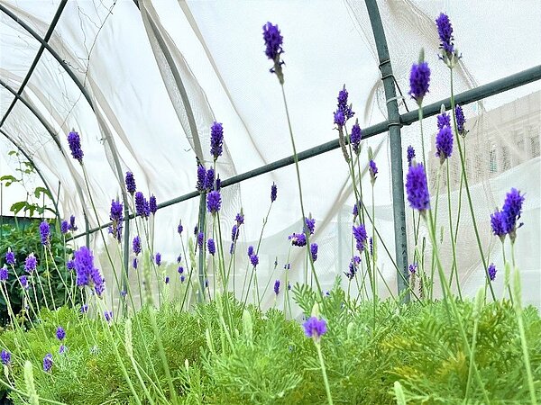 北市公園處特製的「土壤改良劑」新鮮產出，今年第三季申請活動即將火熱開跑。圖／台北市公園處提供