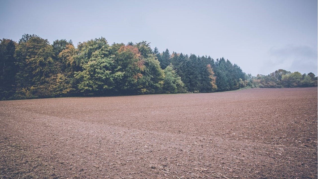 ▼越來越多民眾考慮自地自建。(示意圖/pexels)