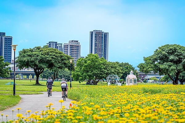 新北大都會公園花海目前已經盛開得熱鬧非凡，吸引許多民眾觀賞及拍美照打卡。圖／新北市政府提供