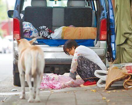 2017年零安樂政策上路後,遊蕩犬數量大大增加,據農委會統計,2022年遊蕩犬上升到15萬9697隻,遊蕩犬與環境衝突與日俱增。圖為愛心媽媽卓媽媽餵食毛小孩。(本報資料照片)
