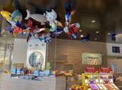 海科館有標租業者販售「氫氣球」潛藏危機　館方開罰