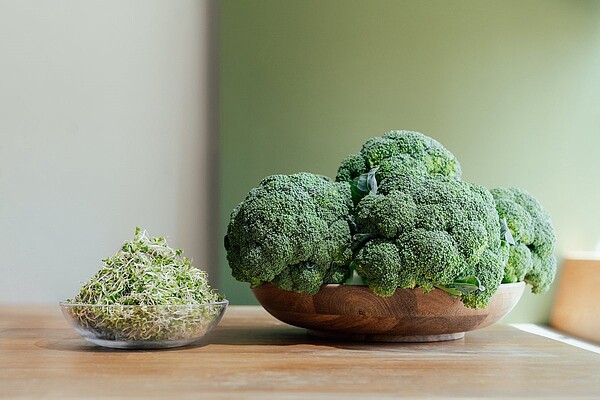 十字花科蔬菜如青花椰苗、青花菜等,含有蘿蔔硫素。圖/一寸鮮提供