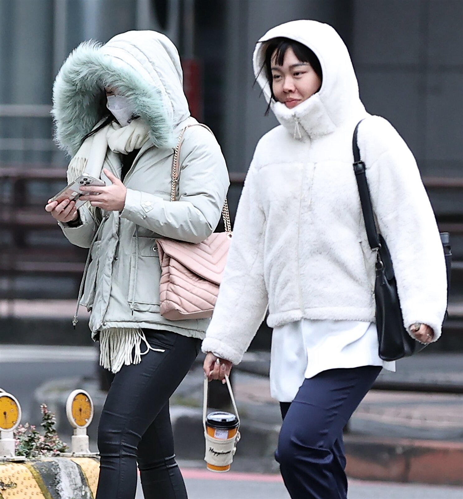 今年入冬最強寒流來襲，注意保暖。記者侯永全／攝影 