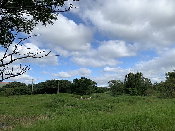 桃園楊梅第8公墓前年辦理遷葬至今年5月底完成作業，將興建大型特色公園，預計明年上網招標。圖／楊梅區公所提供