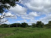 楊梅大型公園有望再＋1　公墓遷葬完明年上網招標