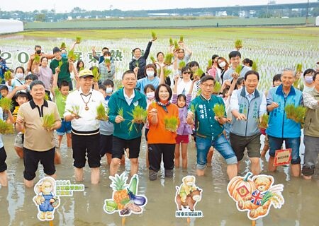 
2024屏東熱帶農業博覽會23日舉辦插秧活動，同時揭曉彩稻主題為經典泰迪熊。（林和生攝）
