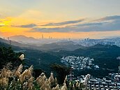 露營正夯！投資人捧百萬當營主　房仲：沒想像輕鬆