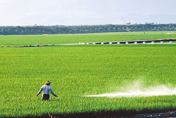 農業部近年力推IPM(有害生物綜合管理) ,但根據最新統計,化學農藥用量不減反增。圖/農業部提供