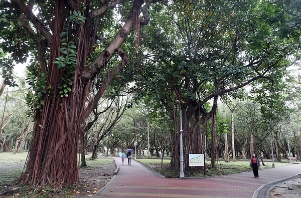 台北市大安森林公園。圖/聯合報系資料照