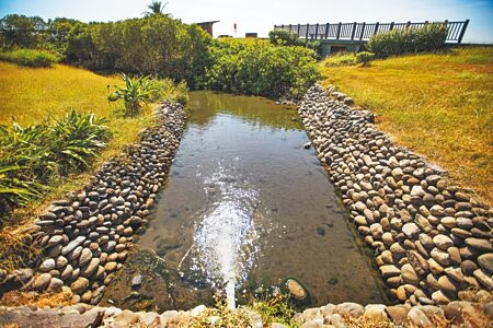 
高雄市工務局在林園溼地兩端增設2條「循環流動水系統」，將周邊養殖業排放水倒入溼地，透過調整注水頻率來淨化生態池水質、穩定水溫，優化水母的生存條件。（袁庭堯攝）
