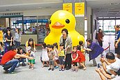 黃色小鴨分身　出現市府中庭 