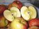蜜蘋果中晶凍狀果肉是什麼？　食農專家解惑