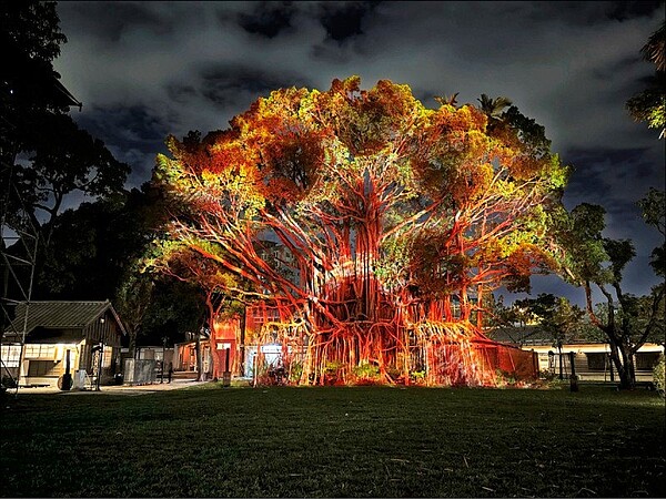 國漫館「大樹榕光」以光環境、光影、水霧、音樂等,營造國家漫畫博物館夜間展現不同風景。圖/文化部提供