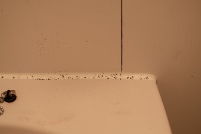 ▼矽力康發霉長黑斑,令人頭痛。(示意圖/photoAC)