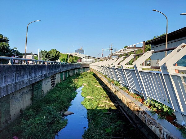 藤寮坑溝二期工程提供動植物友善棲息空間。圖／新北市府提供