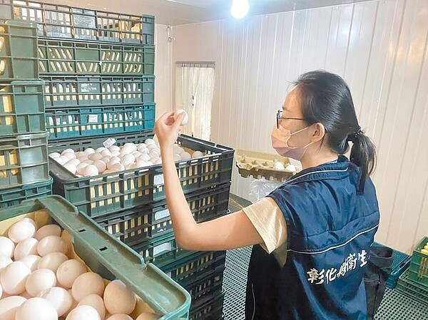 5000多萬顆專案進口雞蛋成本估計約2億元,「耗損與到期」銷毀費用,又要花4119萬元;圖為衛生局人員稽查待銷毀雞蛋。圖/彰化縣衛生局提供