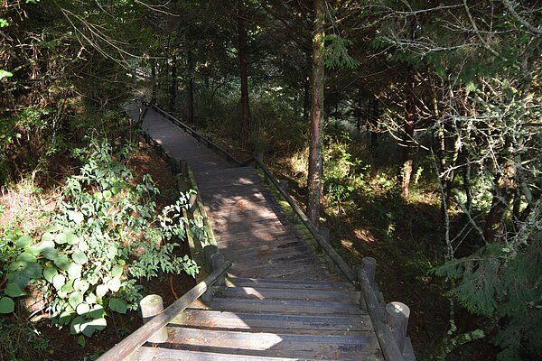 竹縣尖石、五峰古道奪評鑑特優。圖/新竹縣原民處提供