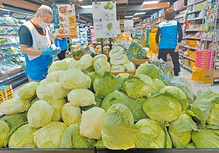
國內高麗菜盛產，台北市場9日批發價格較去年同期減少約5成。圖為超市販售高麗菜。（張鎧乙攝）
