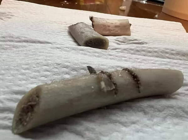 有民眾在臉書社團發文,指用好市多豬肋排煮湯,發現斷掉的刀片卡在骨頭上。圖/摘自「Costco好市多 商品經驗老實說」