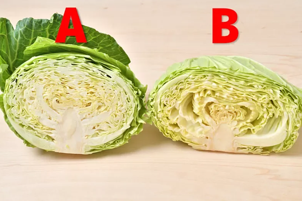 圖擷自あたらしい日日