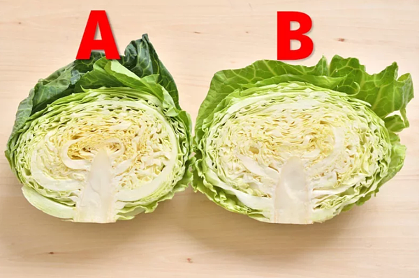 圖擷自あたらしい日日