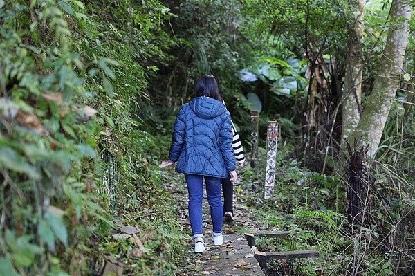 白蘭溪古道是昔日泰雅族祖先遷徙、狩獵和探親的道路，已有400年歷史，新竹縣政府結合交通部觀光署推動「新竹縣五峰鄉白蘭溪古道再造工程」。圖／新竹縣政府提供