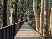 打造新化風情小鎮　嘉南大圳旁水綠步道開放