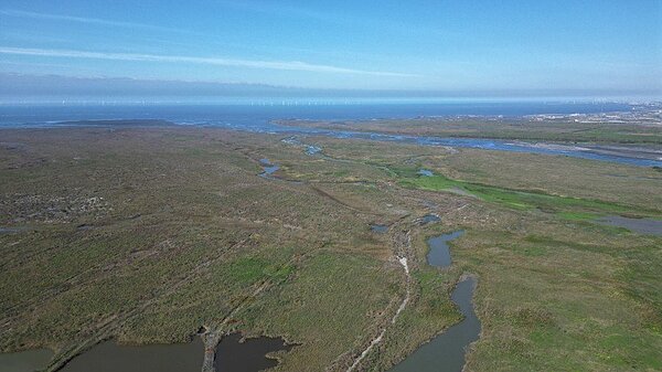 濁水溪揚塵防治成果有效，圖為濁水溪出海口綠覆及水覆蓋。圖／第四河川分署提供