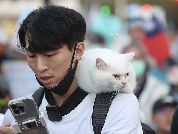 越來越多人有養寵物，是否能在新年替寵物點光明燈，命理師楊登嵙提供民俗見解。圖／聯合報系資料照