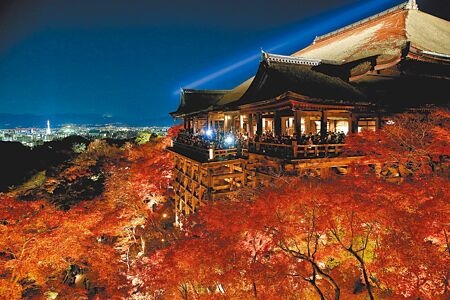 
2023年前11月出國人數達1074萬人次，每3人就有1人是到日本旅遊。圖為京都清水寺夜楓點燈活動。（黃世麒攝）
